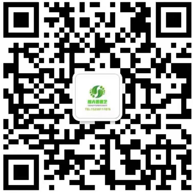 手機(jī)二維碼