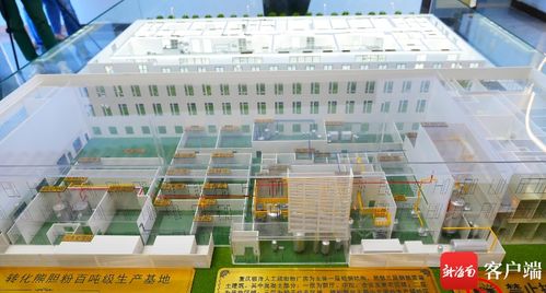 美安科技新城 打造創(chuàng)新藥企新高地，引領(lǐng)珍稀中藥材替代與軟件科技融合發(fā)展